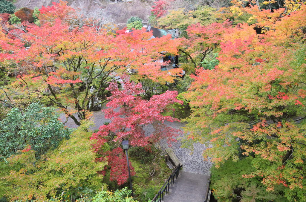 那谷寺：展望台付近からの美しい紅葉の眺望