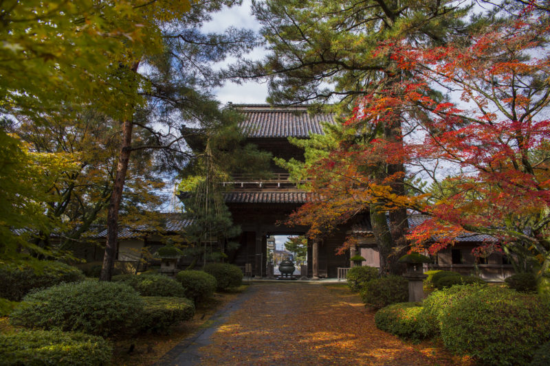 金沢市にある琴姫様の菩提寺「天徳院」の紅葉